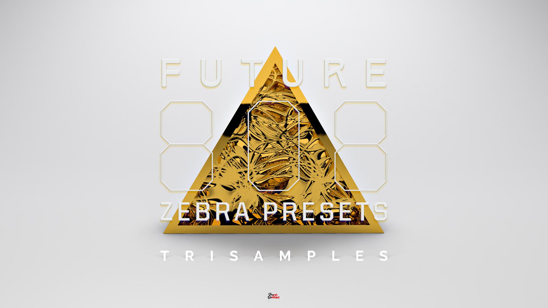 Featured image for “Future 808s (Zebra 2)”